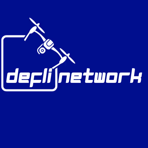 DeFli Self License