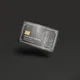 PSG Silver Card