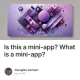 Is this a mini-app? What is a mini-app?