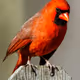 B01