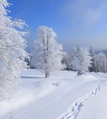 winter