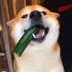 Cucumber Doge