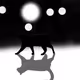 CAT BACK IN WHEIT