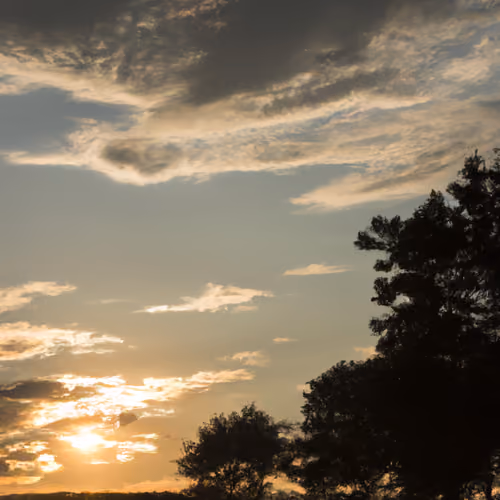 Golden sunset