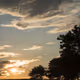 Golden sunset