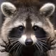Funracon
