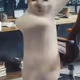 Cat meme