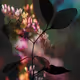 Harmony of Chaotic Dreams
