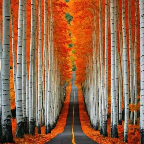 fall