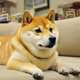 Loyal Doge