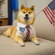 doge 2024