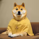 Doge Father
