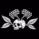 Wild Bloom Elderberry Co. Early Access