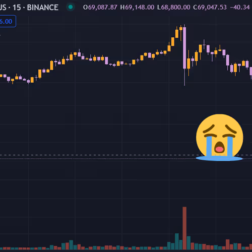 Buy the dip