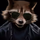 Rocket Raccoon