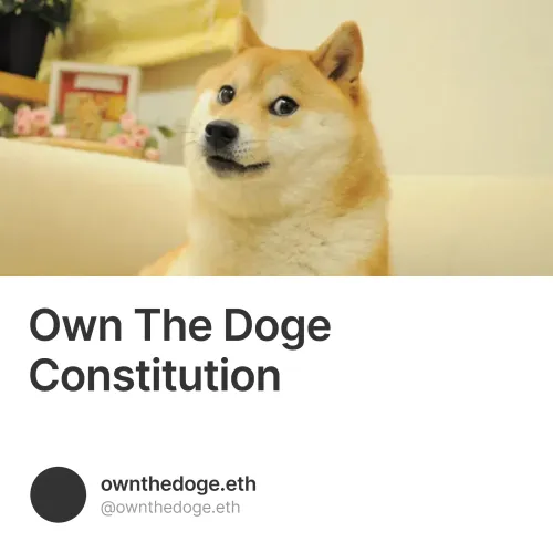 Own The Doge Constitution