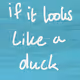 if it looks like a duck