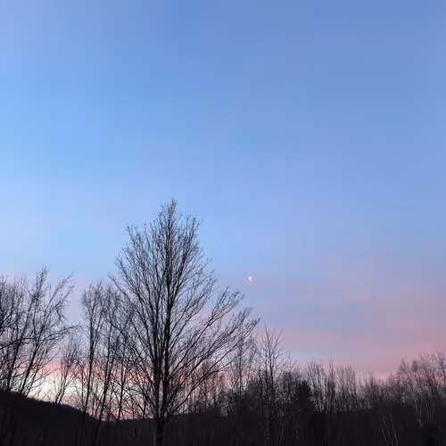 Sunrise