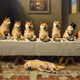 Such a supper!
