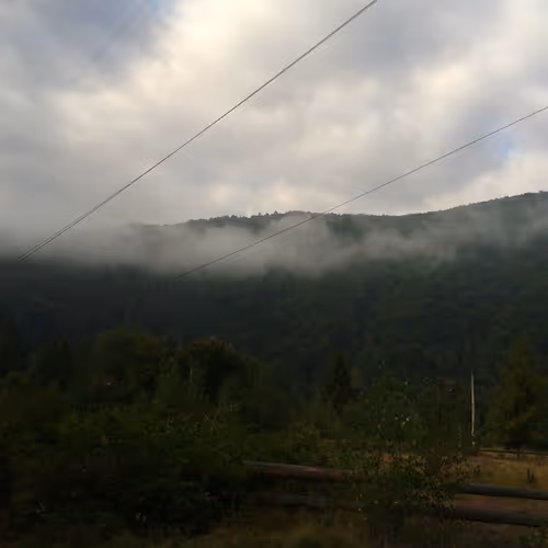 Base Nature Collection