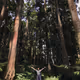 Touchgrass