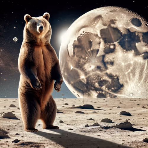 Bera landing on the moon