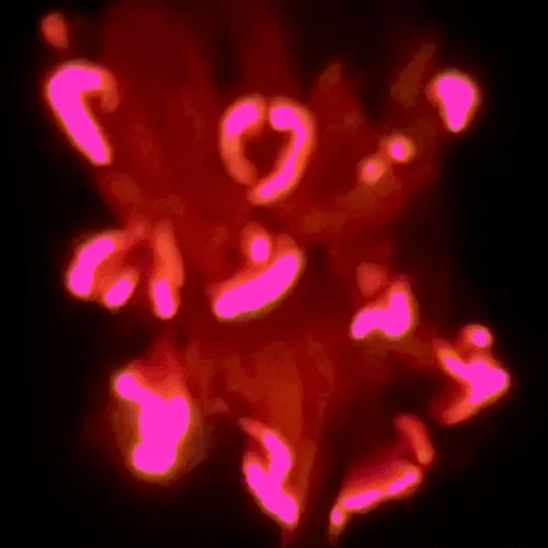 ✧˖⁺༓ 𝑅𝐸𝒱𝐸𝑅𝐼𝐸 ༓⁺˖✧