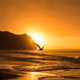 sun
