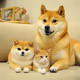 From Doge to Cat