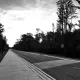 Crossing Paths