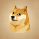 Dancing Doge