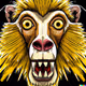 angry animals