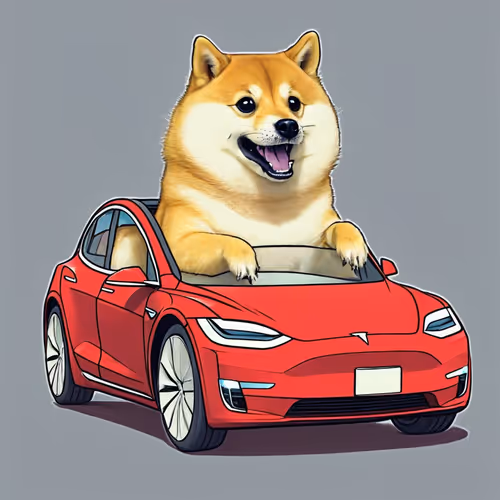 Tesla Doge