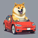 Tesla Doge