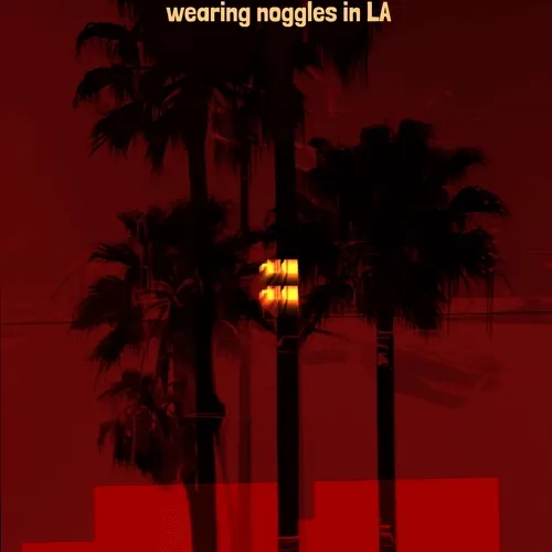 Always Summer w Noggles in LA