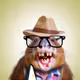 Hamster