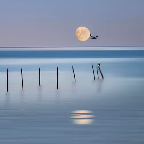 moon