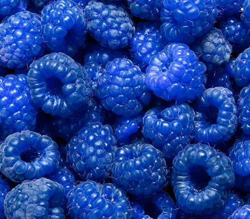 Origin Of Blue Raspberry