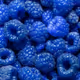 Origin Of Blue Raspberry