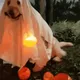 Halloween Costumes dogs