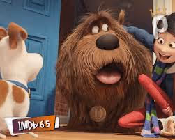 dogy