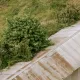 Overgrown