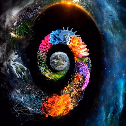 1st Editions - Nature Flayture