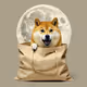 Doge Bag