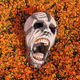 Scream of Skull