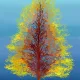 Golden Tree