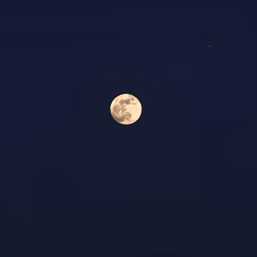 mn