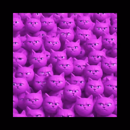 Farcats And The Gang