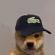 Doggo Drops