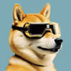 Doge vision PRO
